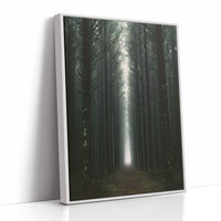 Endless Pine Corridor Of Light