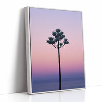 Twilight Palm Reaches For Stars