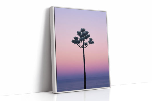 Twilight Palm Reaches For Stars