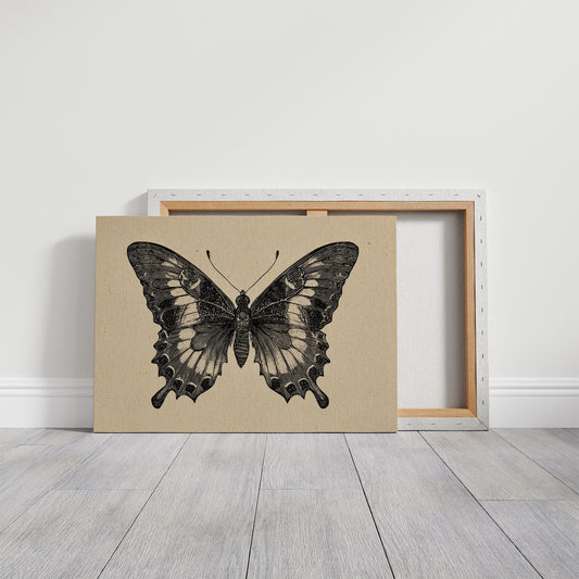 Between Pages And Flight Patterns