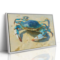 Blue Treasure From Tidal Pools