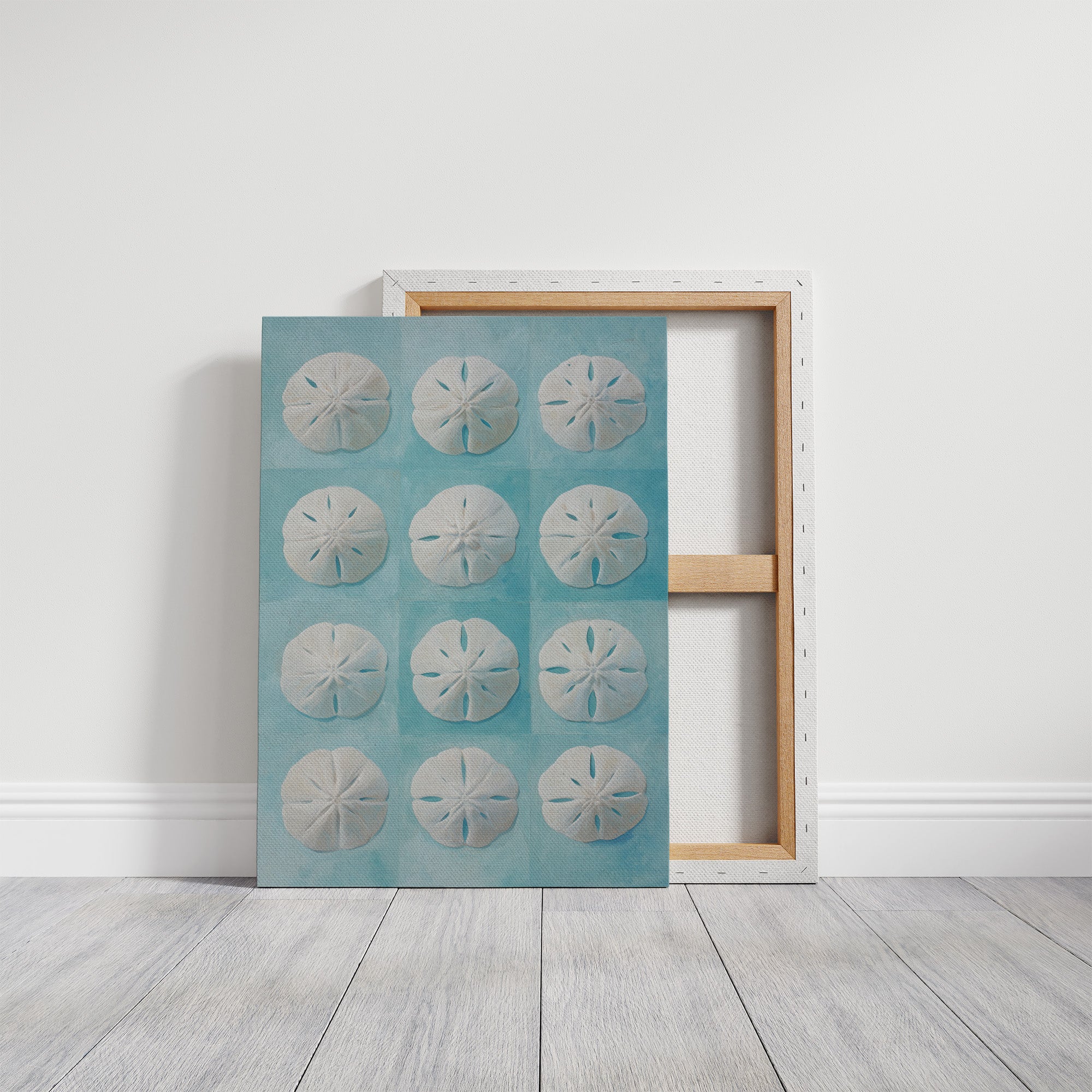 Sand Dollars Dance On Teal