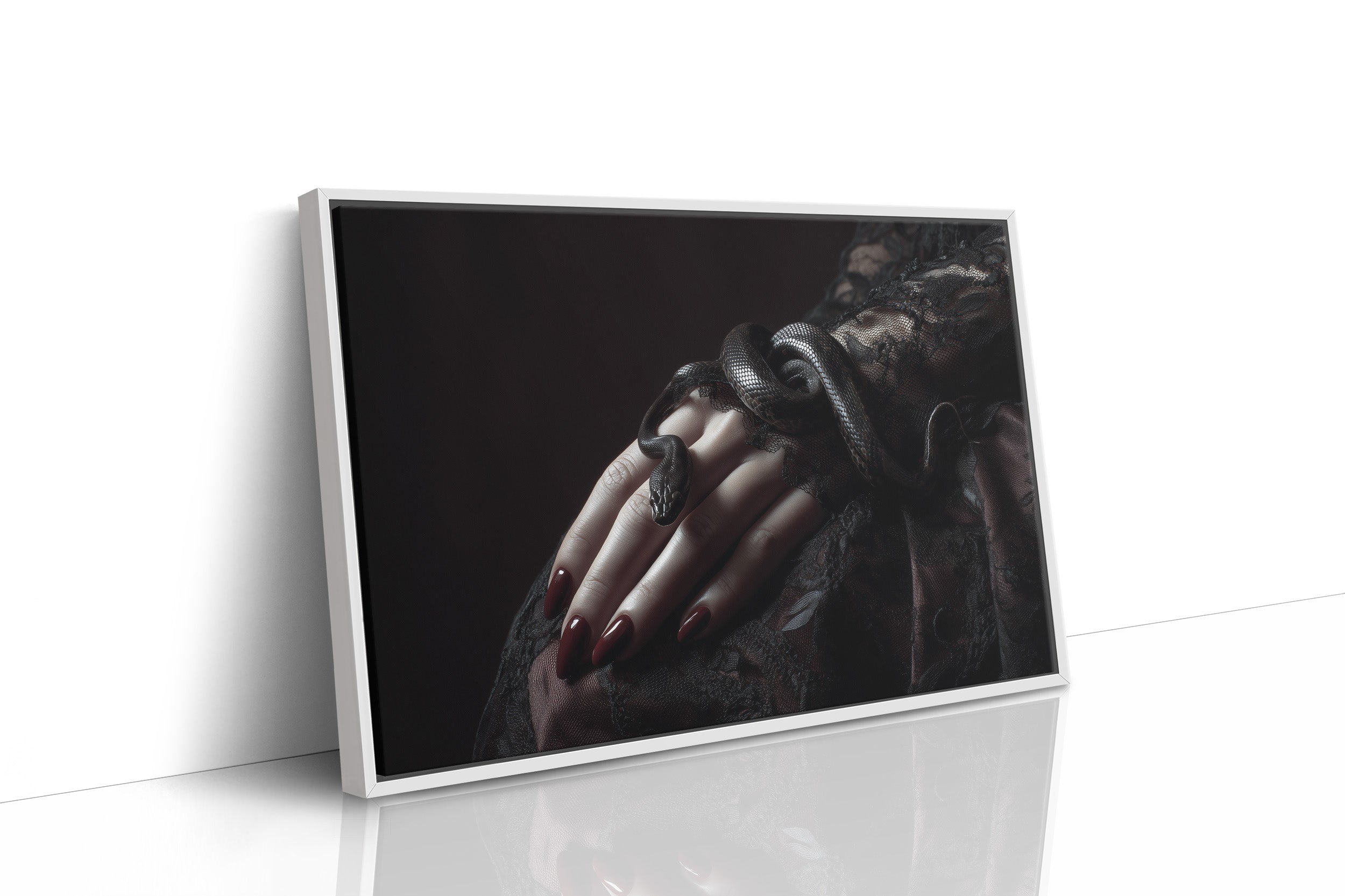 Serpent Tales Between Leather Spines