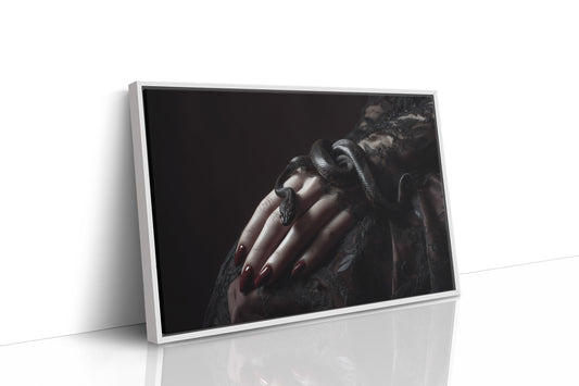 Serpent Tales Between Leather Spines