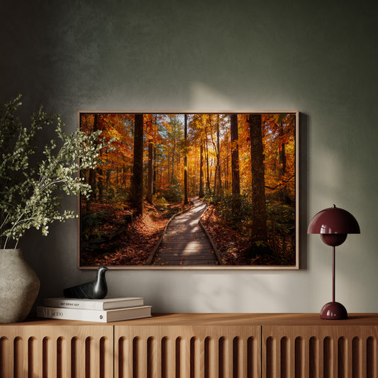 Autumn Path Weaves Golden Stories