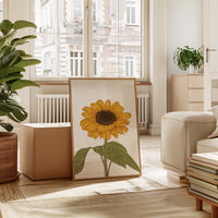 Golden Petals Sing Summer Songs