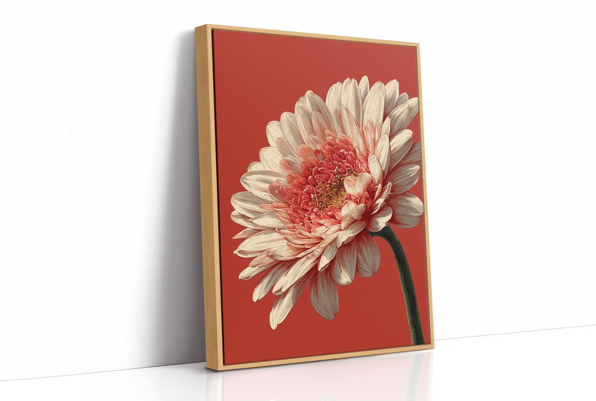One Bloom, No Apology