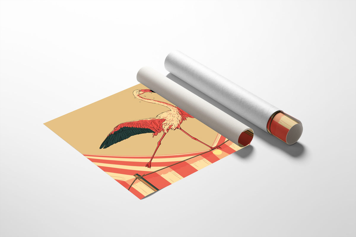 Flamingo Tightrope Circus Act