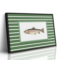 Striped Current Rainbow Catch