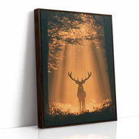 Where the Light Finds the Forest King