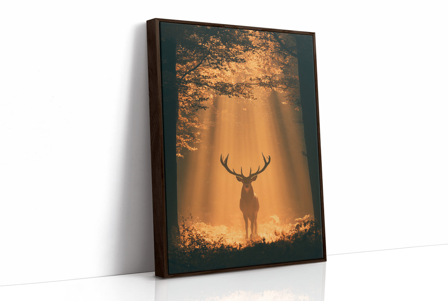Where the Light Finds the Forest King