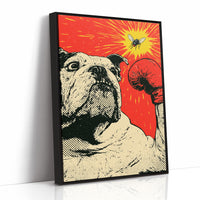 Bulldog Versus Fly Standoff