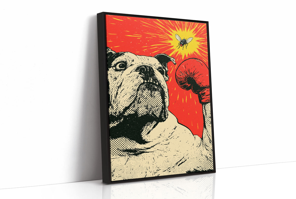 Bulldog Versus Fly Standoff