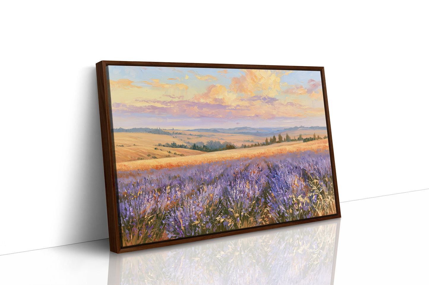 Lavender Fields, Golden Hour