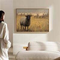 Black Sheep Leads Golden Meadow