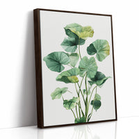 Lotus Leaves Dance In Sunlight