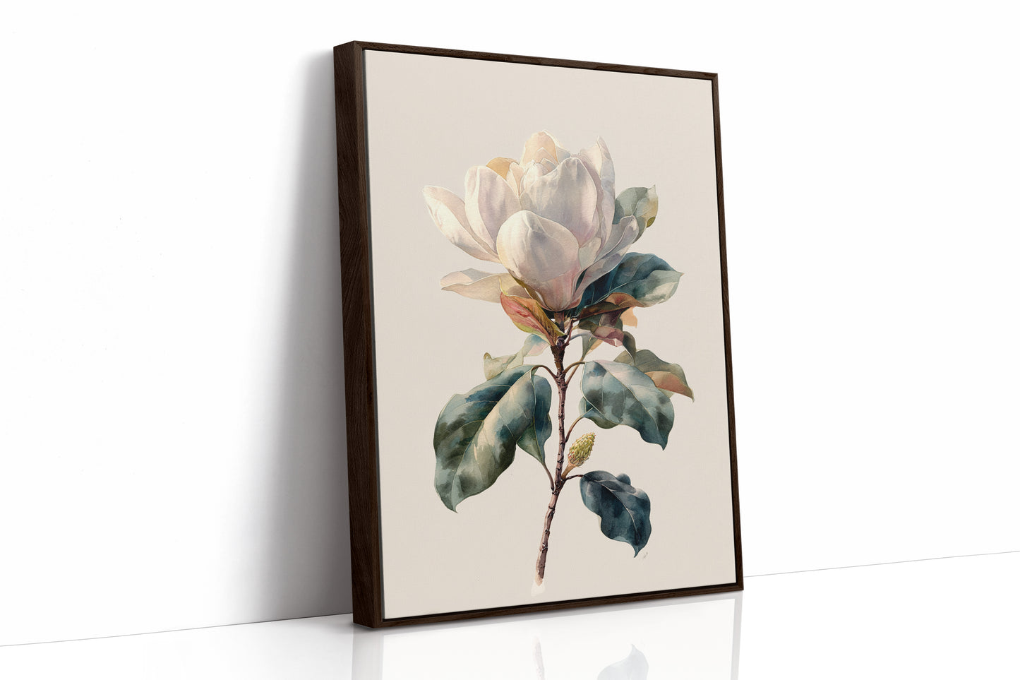 Southern Magnolia In Morning Light