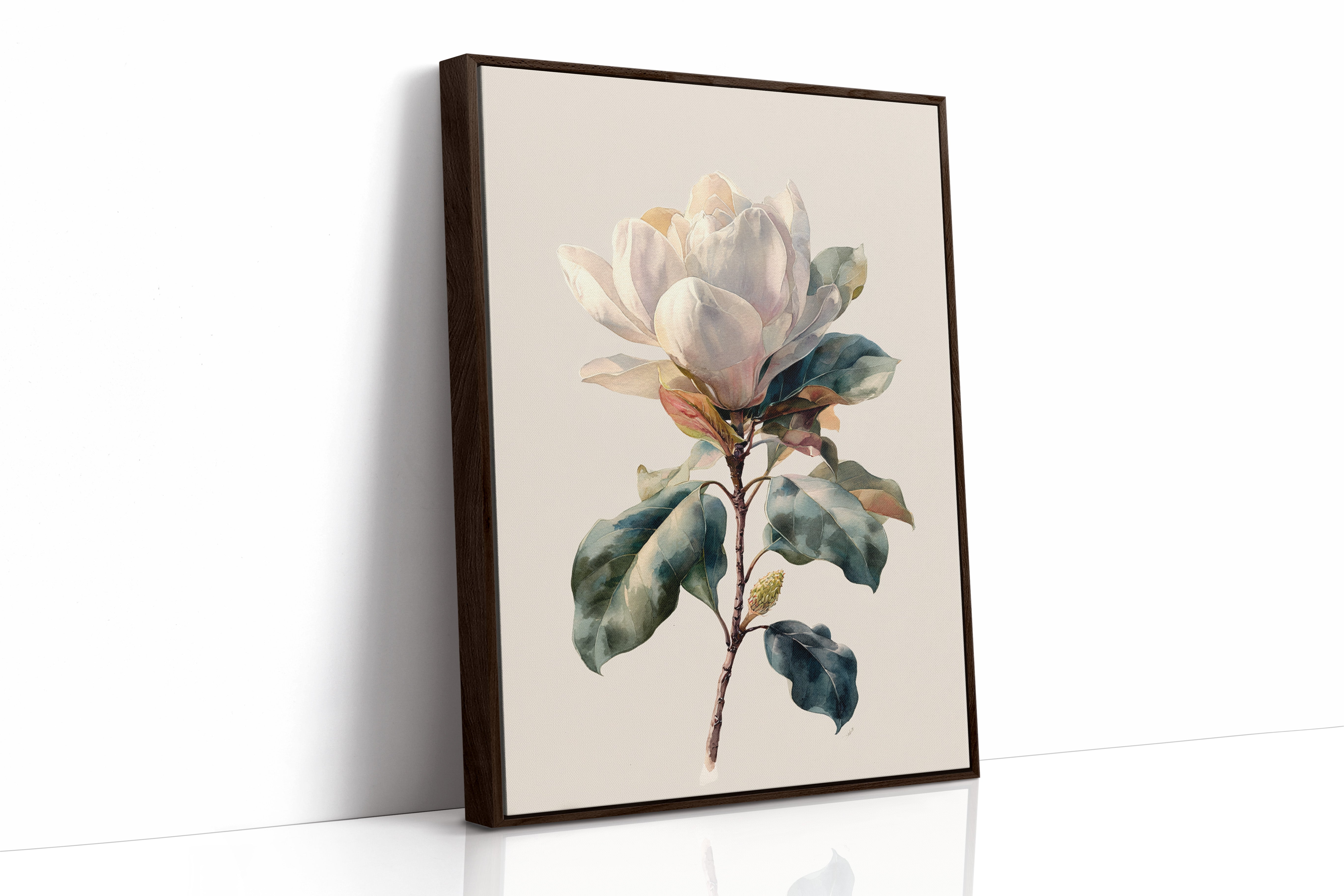Southern Magnolia In Morning Light