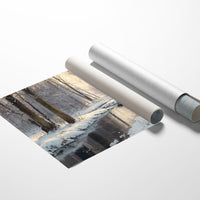 Winter Creek Finds Golden Light