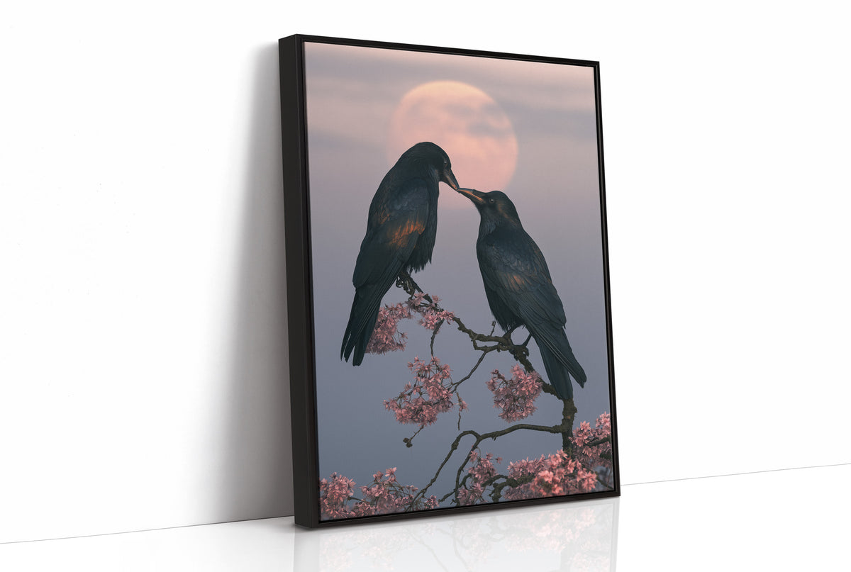 Ravens Share a Secret