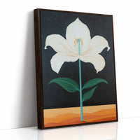 Midnight Lily Reaches For Stars