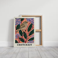 Chiffchaff Among Hydrangeas