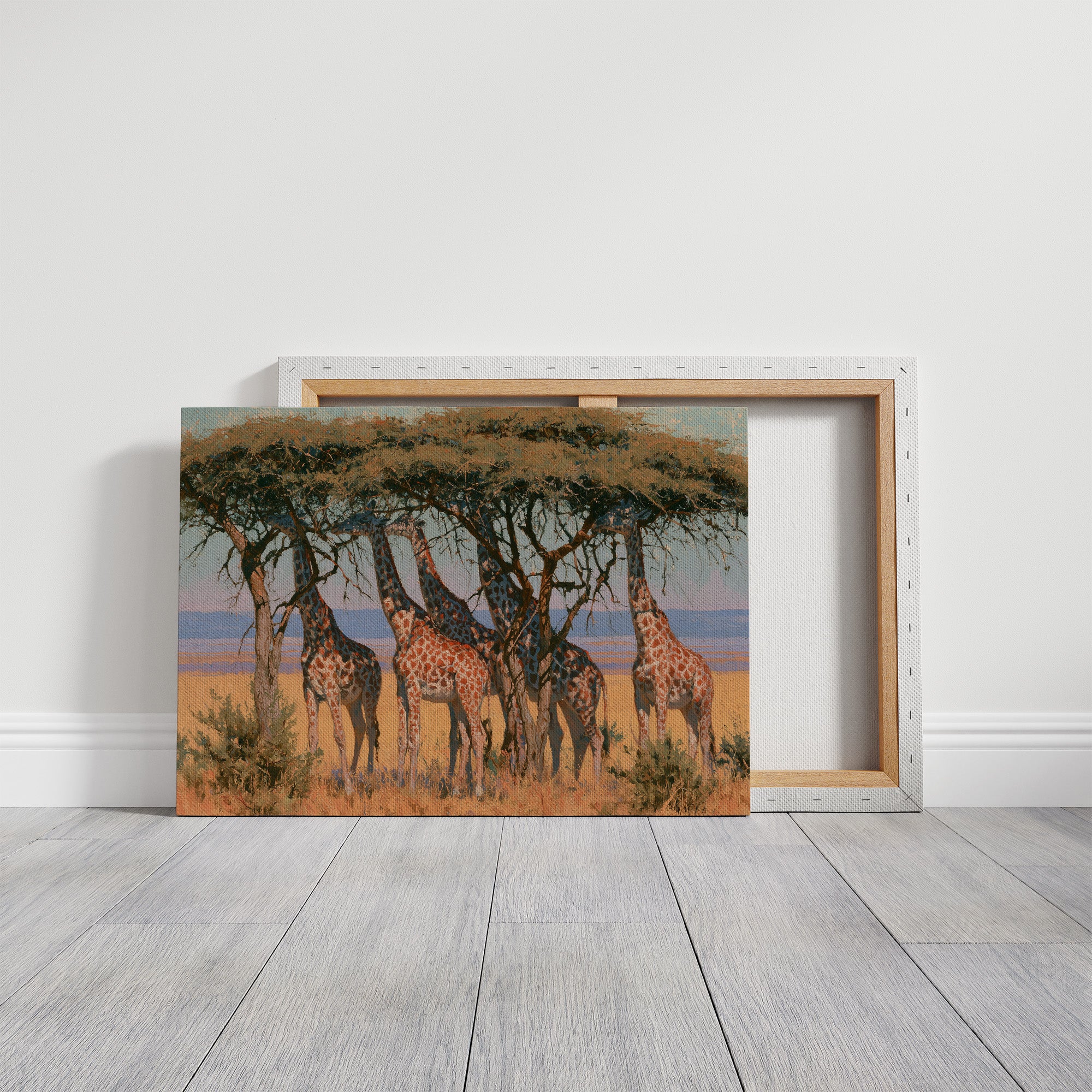 Giraffe Tower, Acacia Shade