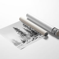 Winter Pines Stand Silent Watch