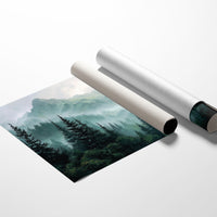 Evergreens Guard Ancient Mountain Secrets