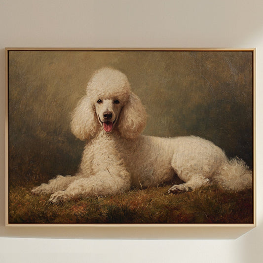 Noble Poodle Rests In Autumn Light
