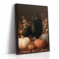 Black Cat and the Heirloom Pumpkins