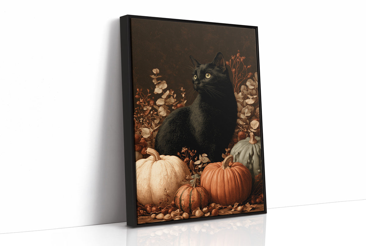 Black Cat and the Heirloom Pumpkins