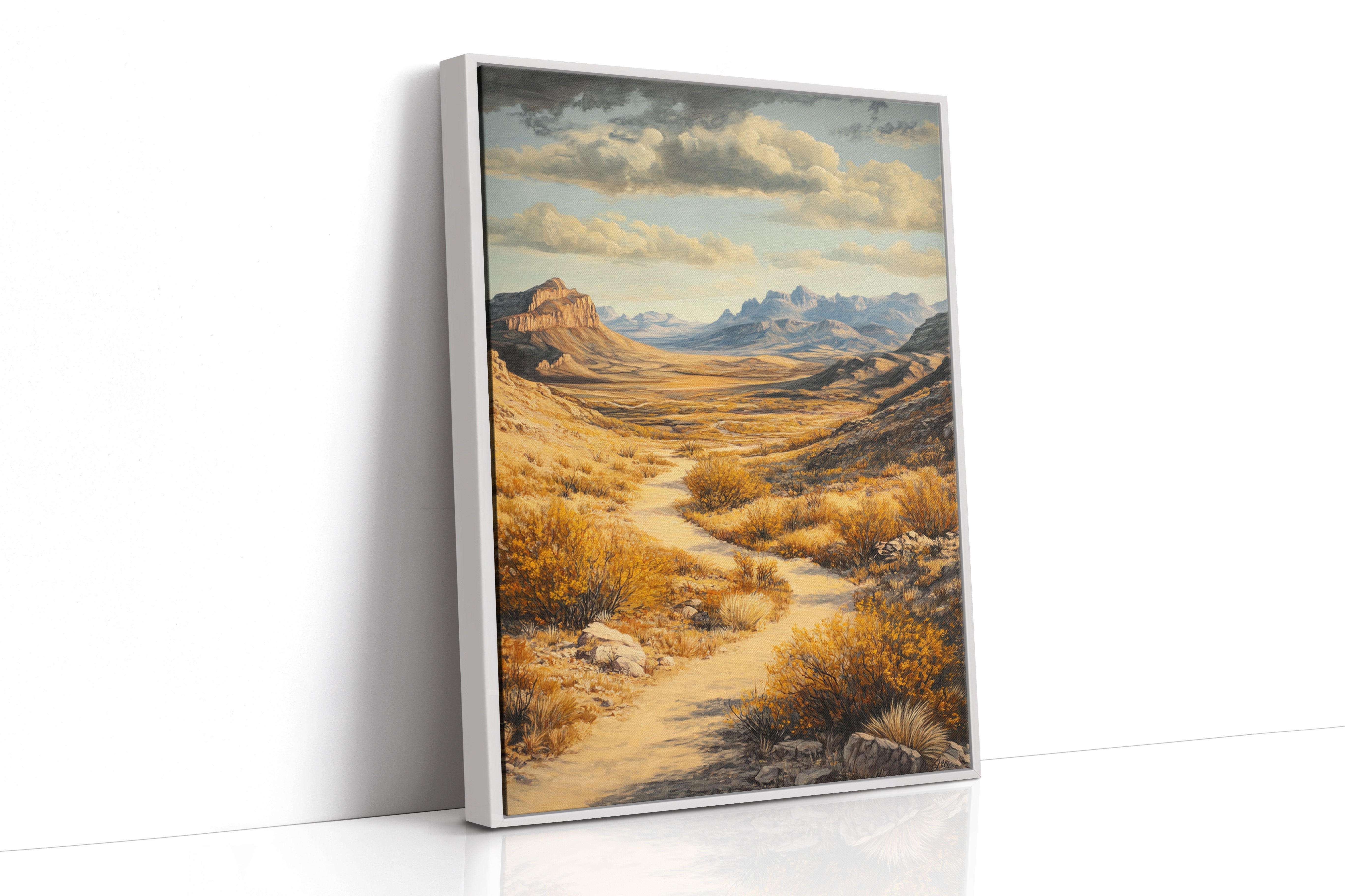 Winding Trail Through Golden Desert