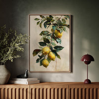 Harvesting Sunlit Citrus Dreams