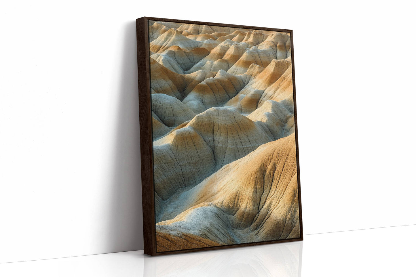 Ancient Dunes Write Earth's Story