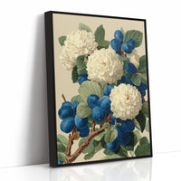 Cream Blossoms Among the Blue Plums