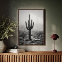 Cactus Standing Against The Mist
