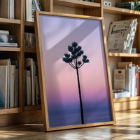 Twilight Palm Reaches For Stars