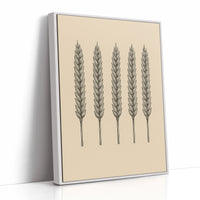 Five Loaves Botanical Wheat Illustration