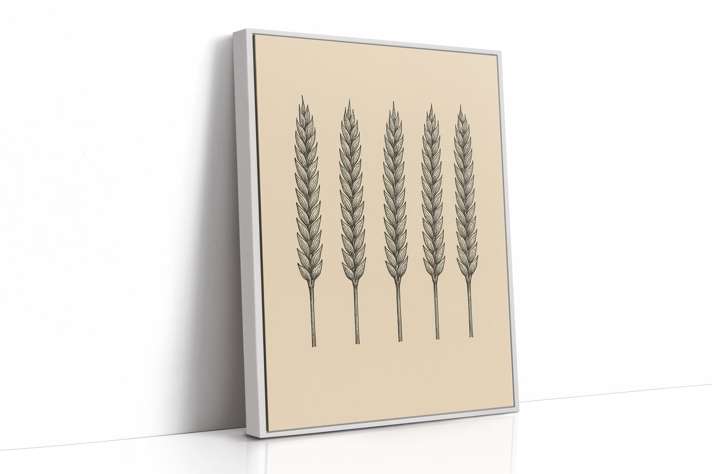 Five Loaves Botanical Wheat Illustration