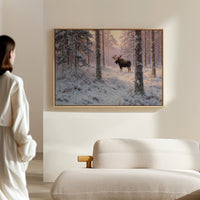 Winter's Light Finds Northern King