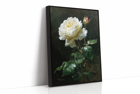 The White Rose Holds Its Light