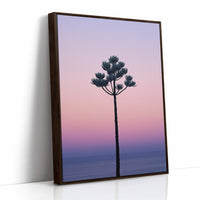 Twilight Palm Reaches For Stars