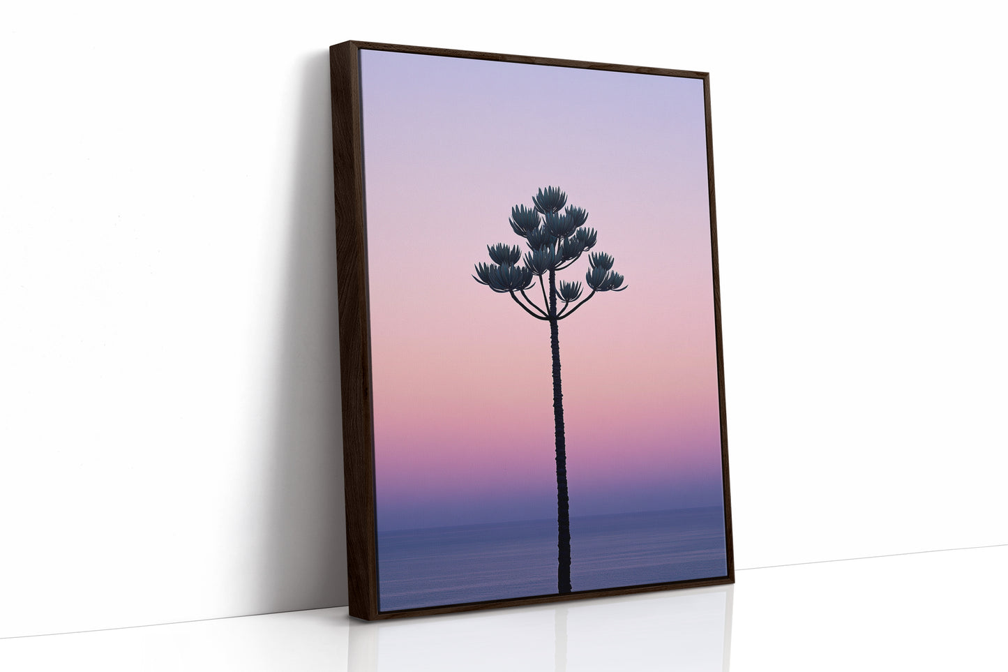 Twilight Palm Reaches For Stars