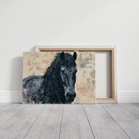 Midnight Mane, Quiet Gaze