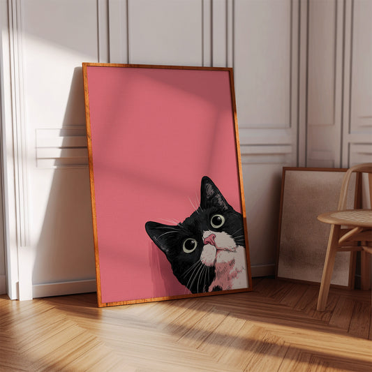 Curiosity Adorns Every Pounce