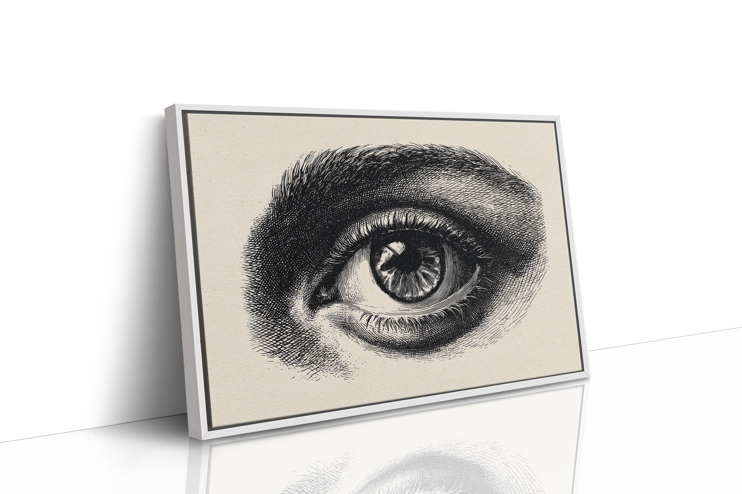 Windows To Ancient Knowledge Shelved