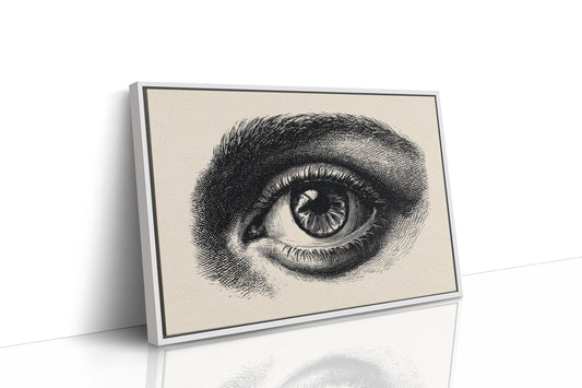 Windows To Ancient Knowledge Shelved