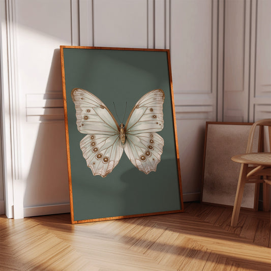 A Dance of Delicate Wings