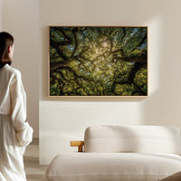 Ancient Oaks Weave Summer Light